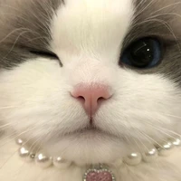Miu