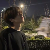 Trần Lê Quân Anh