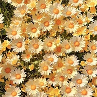 Người ấy là ai?