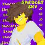 Shedletsky