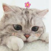 tác giả