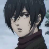 Mikasa ackerman