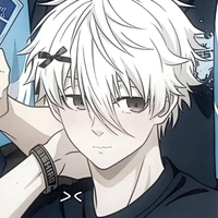 nagi seishiro