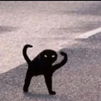 ?????