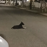 một người ra chuyện cho mấy bà óa