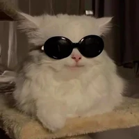 Hoàng Đức Duy [dạng mèo]