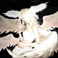 Ngcc(Tác giả truyện khác)