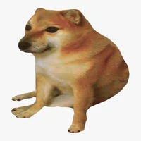 Chó