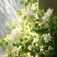 hệ thống lôi hùng vô truyện