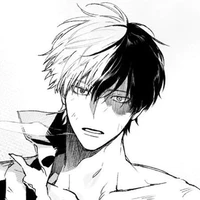 todoroki Shoto// 18,19t //