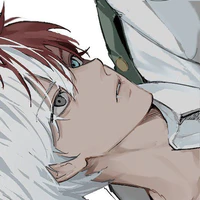 todoroki Shoto