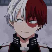 Todoroki shoto 