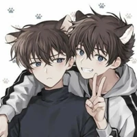 Tác giả mê Boylove