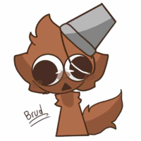 brud