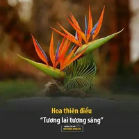 Cả lớp
