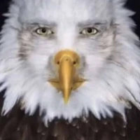 t/g
