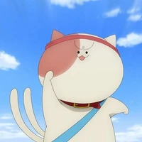 tamao akisame