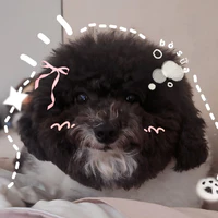 🎀Mọi người🎀