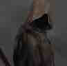 Mr hood