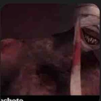 Mr machete
