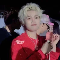 Hoàng Đức Duy ( em )