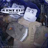 Guest 1337