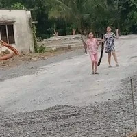 hệ thống kim tác giả