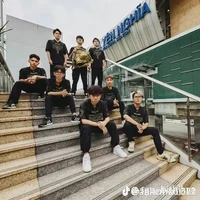 cả team