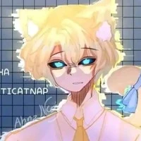 Hiha anticatnap