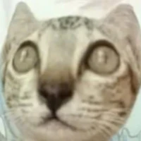 T_xuyên cùng A.T