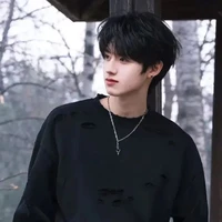 朱志鑫-anh