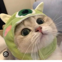 giúp việc