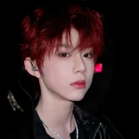 Trần Dịch Hằng