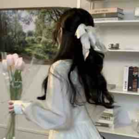 Triệu Di Nguyệt