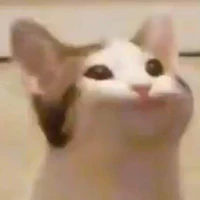 Hệ thống 007