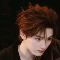 Đinh Trình Hâm