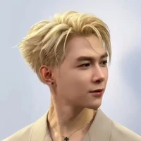 Bùi Anh Tú