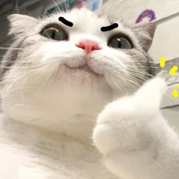 đa nhân vật nữ