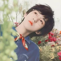 hạ tuấn lâm ( anh )