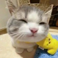 Bônggg