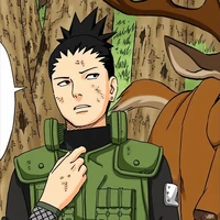 Nara Shikamaru