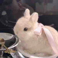 Bảo Ngọc ( 2000 )