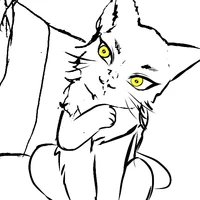 Neko