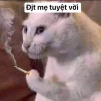:)))