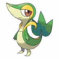 Snivy 