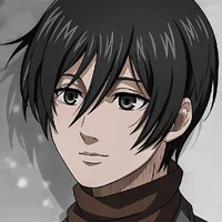 Mikasa Ackerman_Top2