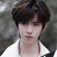 Hạ Tuấn Lâm