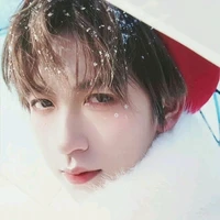 Hạ Tuấn Lâm(anh trai Y/n)