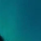 nvp