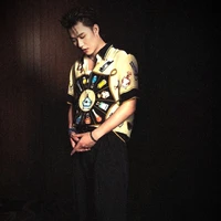 Trần Đăng dương